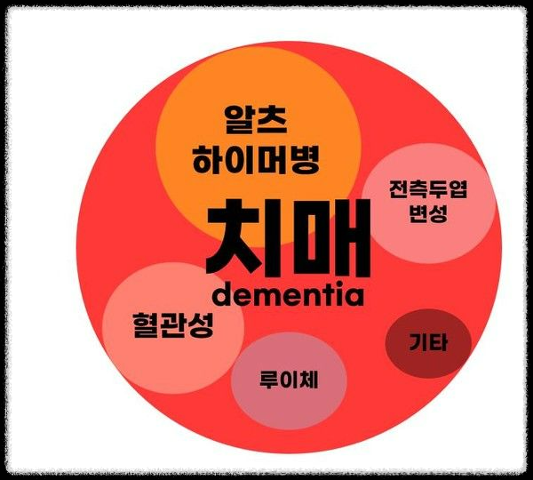 콜라겐과 알츠하이머의 상관관계: 과학적 근거와 이해하기 쉬운 사례