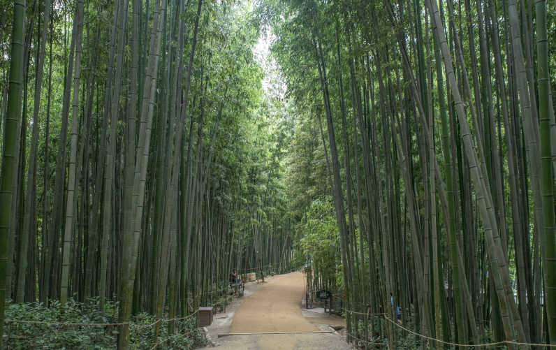 전남 담양 여행지 이미지