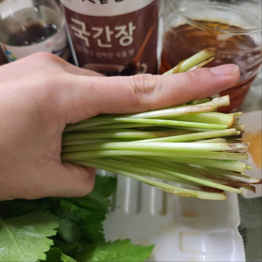 방풍나물 손질 숙주나물 손질 방풍나물 손질법 머위나물 손질법 고비나물 손질법 제철 나물 손질 취나물손질