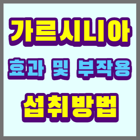 가르시니아-섭취방법