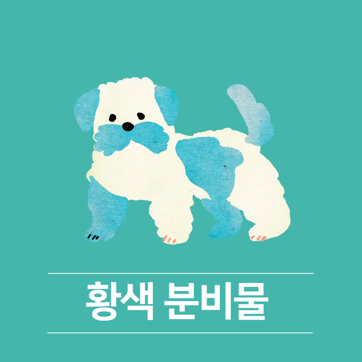 강아지 임신 증상&#44; 임신 기간 및 주의사항
