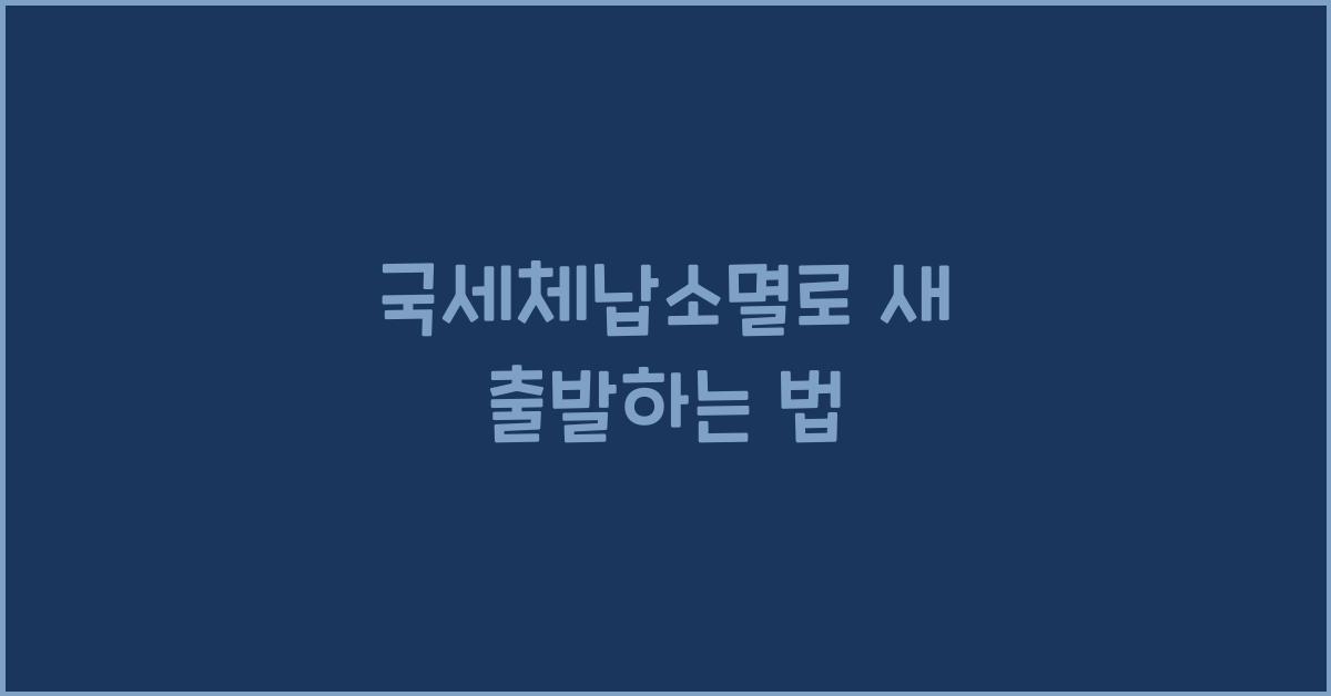 국세체납소멸