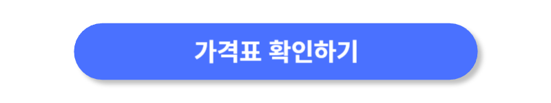 버튼