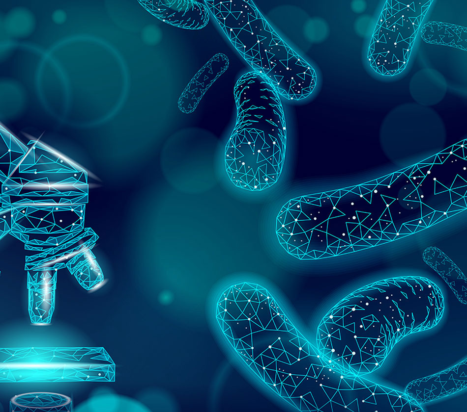 프로바이오틱스 vs 프리바이오틱스 사진