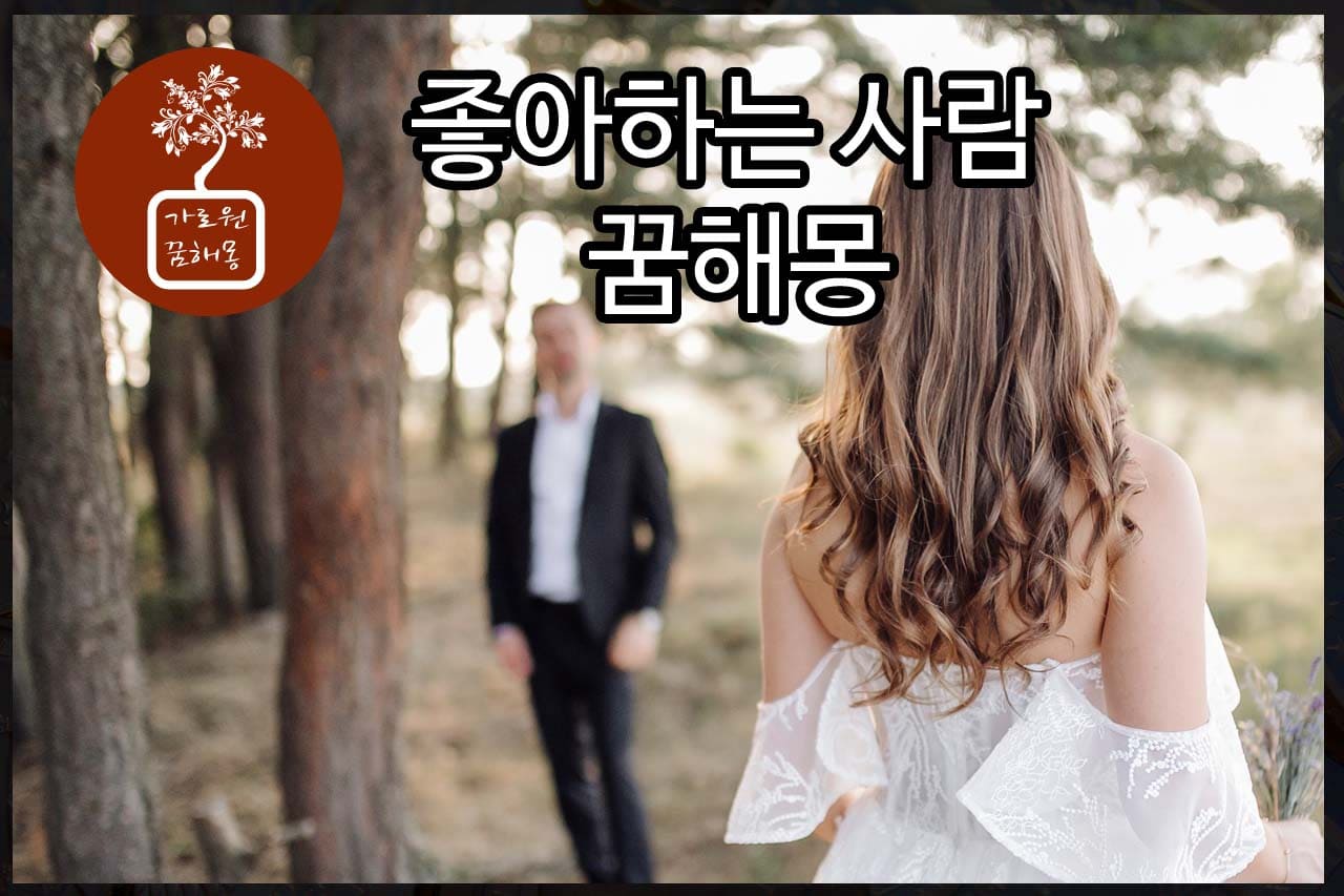 좋아 하는사람 꿈해몽