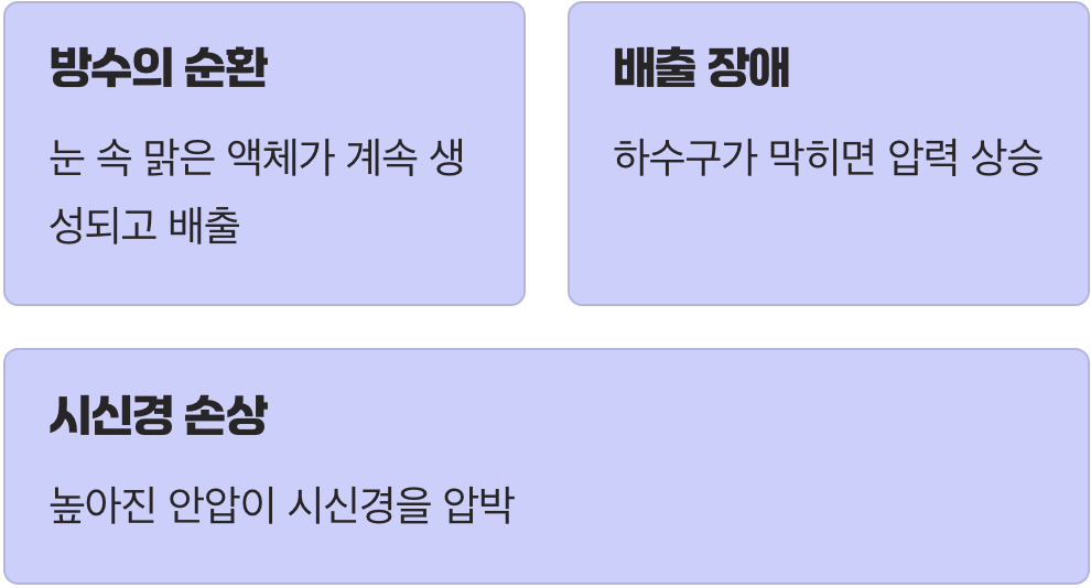 눈 속의 압력, 안압이 높아지는 이유
