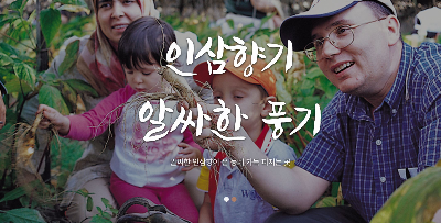 2025 경북영주 풍기인삼축제 일정 초대가수 축제꿀팁 정리