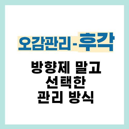 6편. 집 냄새 때문에 방향제 대신 선택한 관리 방법