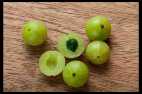 카카두플럼 효능