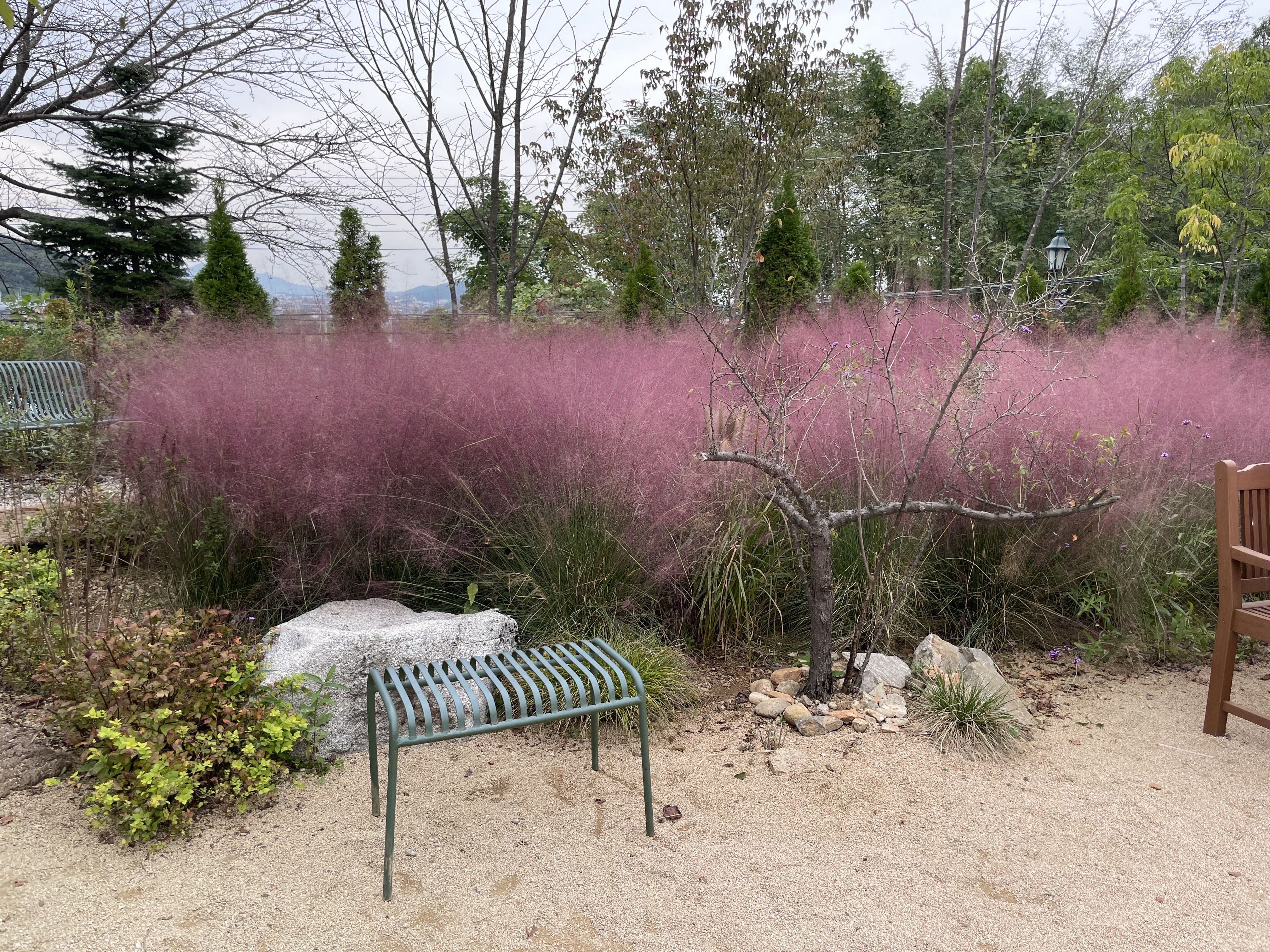 김포 한강뷰 대형카페 아보고가