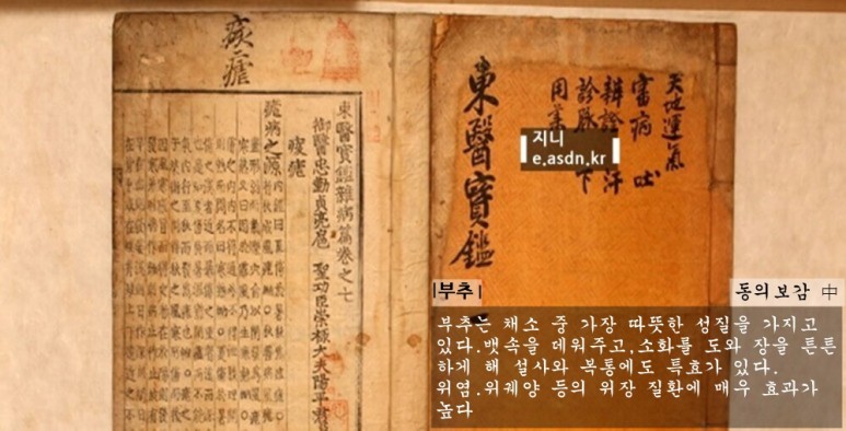 부추 효능 12가지와 부작용 총정리...음식건강이야기 열여섯번째