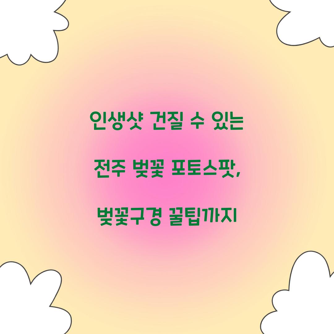 인생샷 건질 수 있는 전주 벚꽃 포토스팟