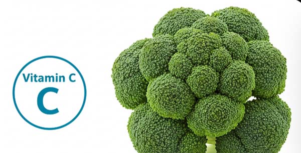 브로콜리 영양성분 비타민C