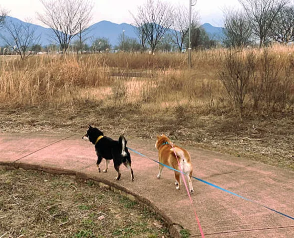 함안강나루생태공원