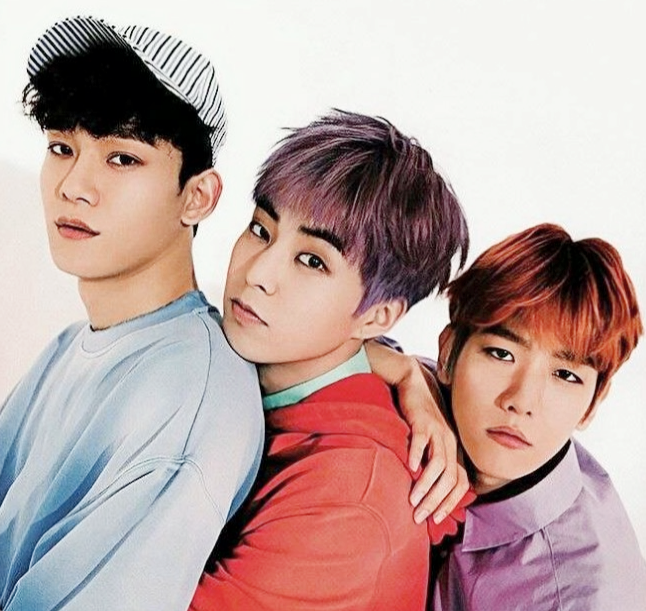 템퍼링 뜻 템퍼링이란? | 아이돌 연예계 첸백시 템퍼링 논란 정리