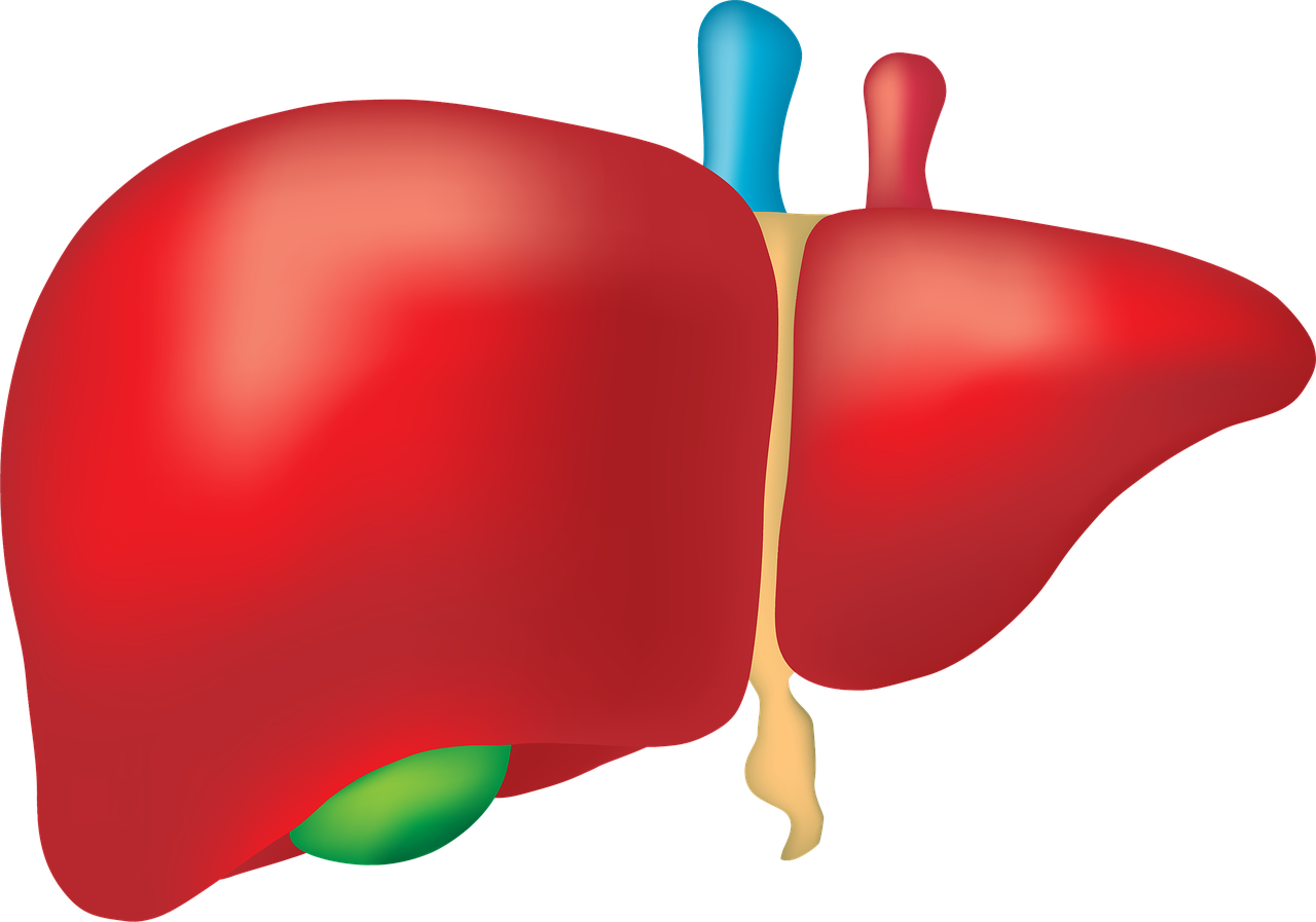 간수치 낮추는 방법
