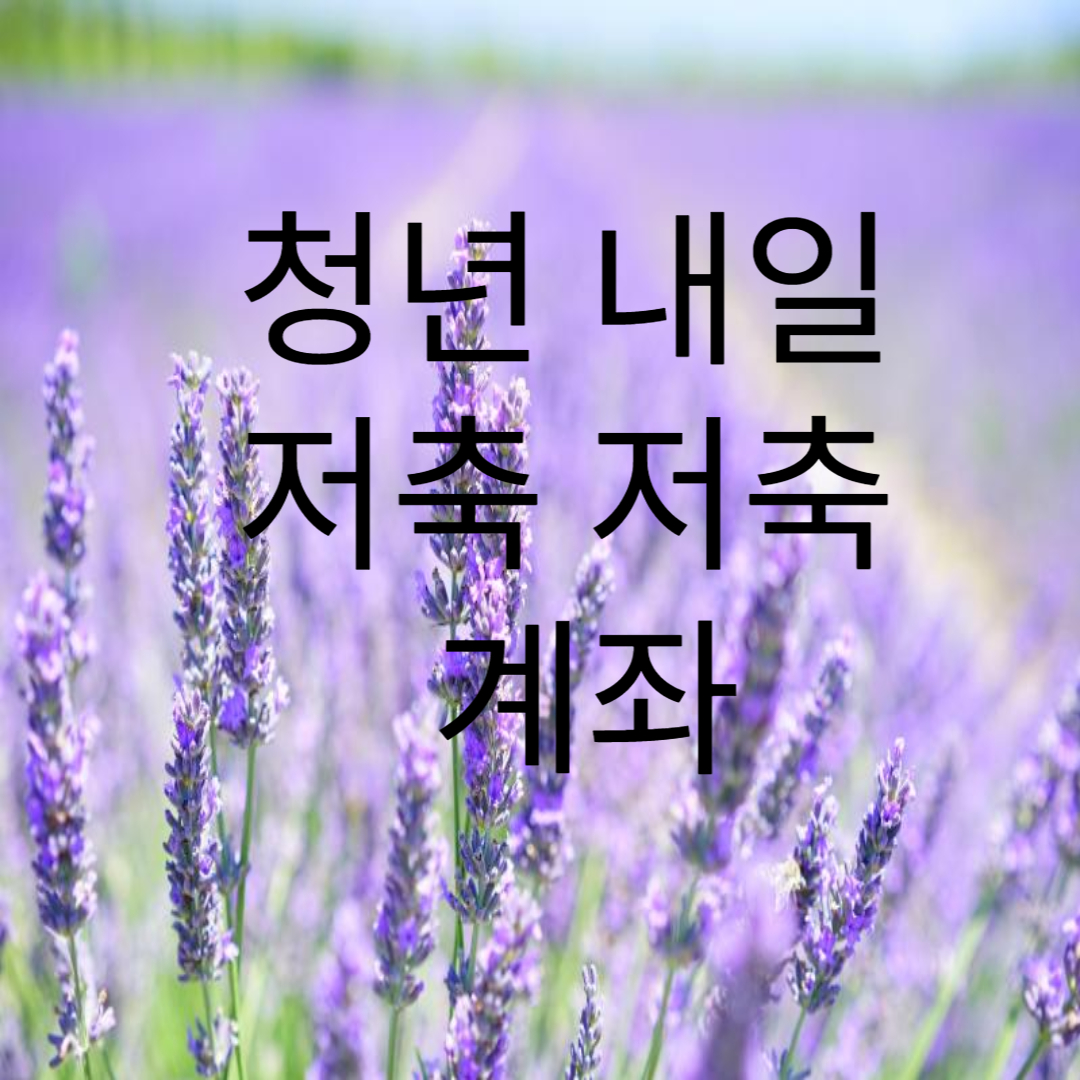 청년 내일 저축 계좌