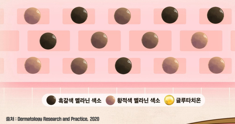 글루타치온 효능