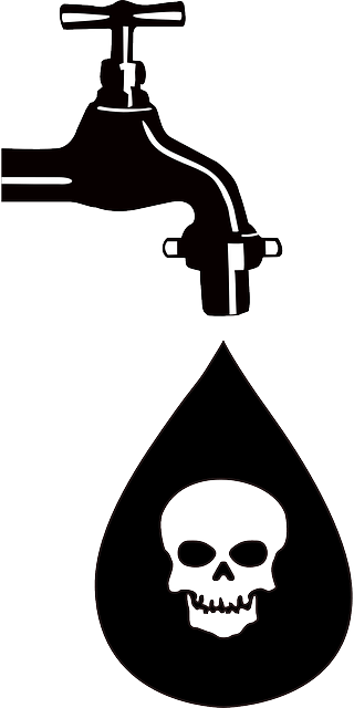 야채 과일식 다이어트