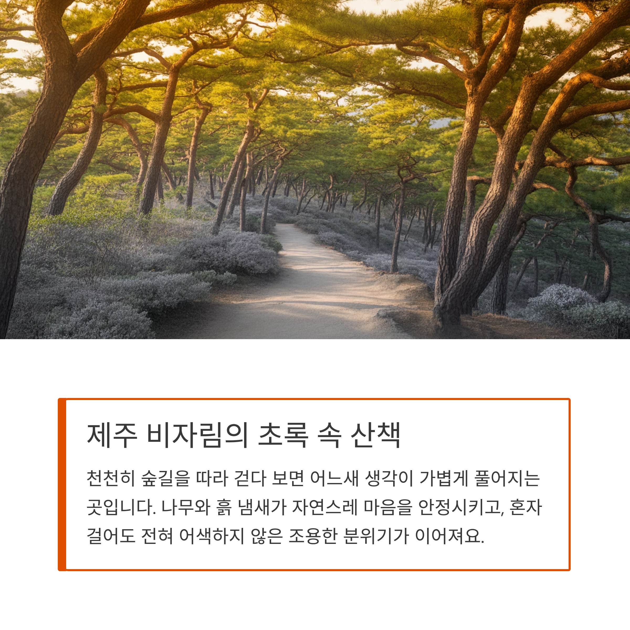 제주 비자림의 초록 속 산책