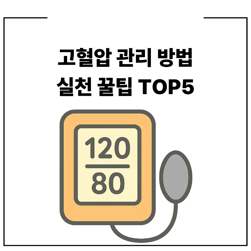 고혈압 관리 방법 실천 꿀팁 TOP5