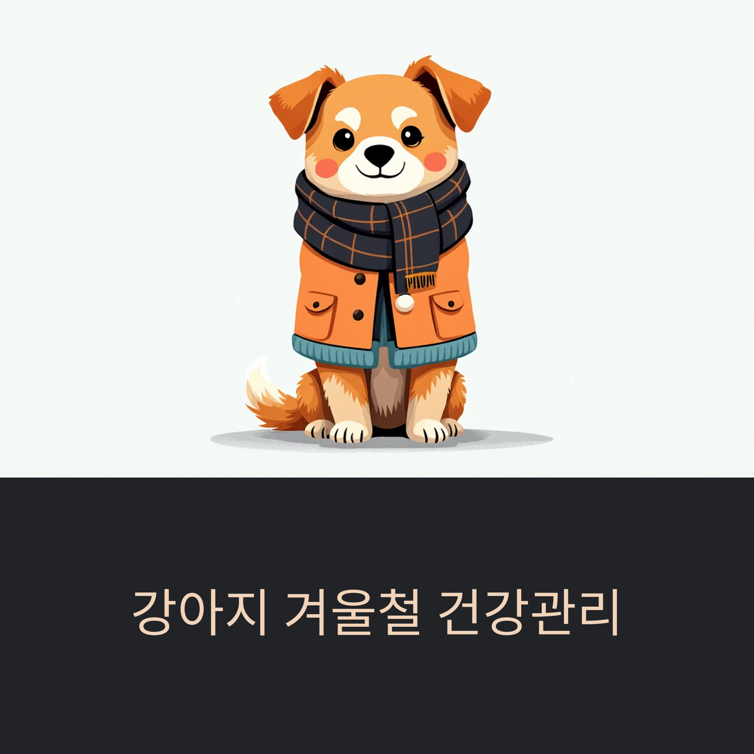 강아지 겨울철 건강관리