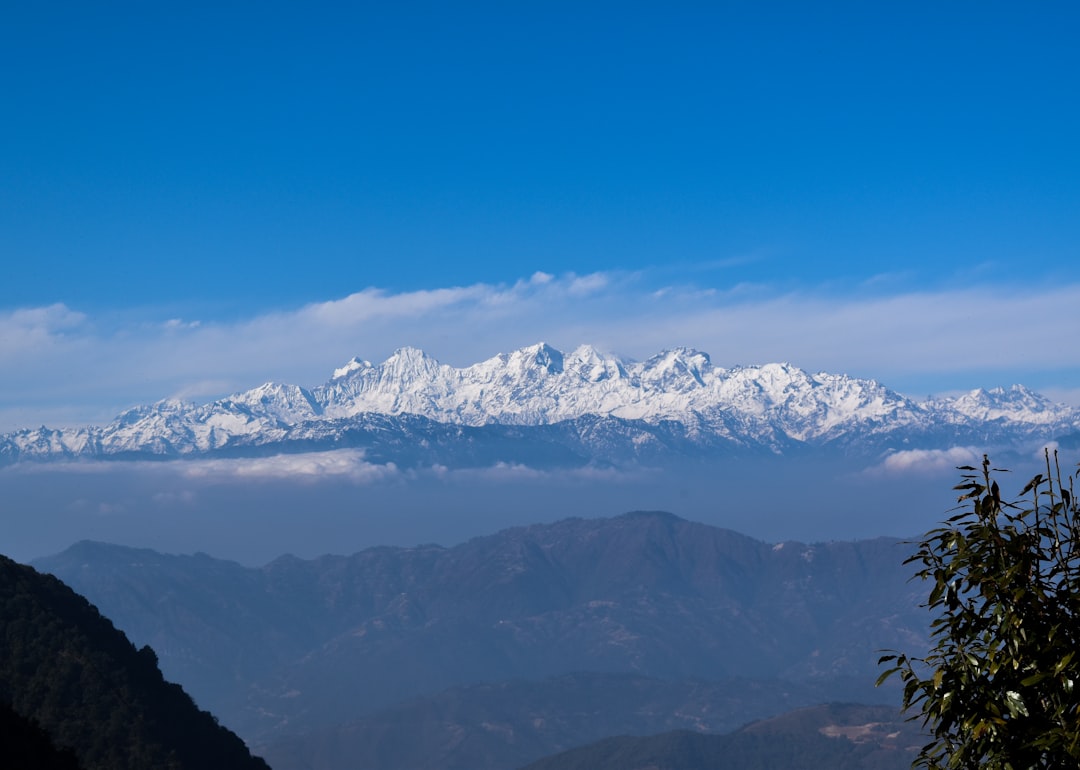 Nepalese