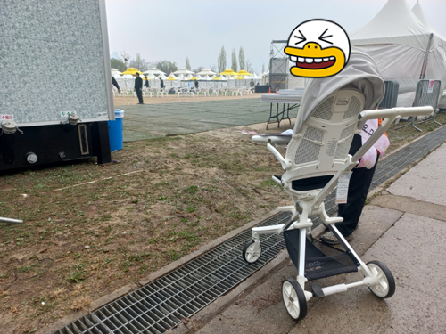 영등포 여의도 봄꽃축제