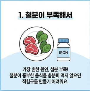 빈혈에 좋은 음식