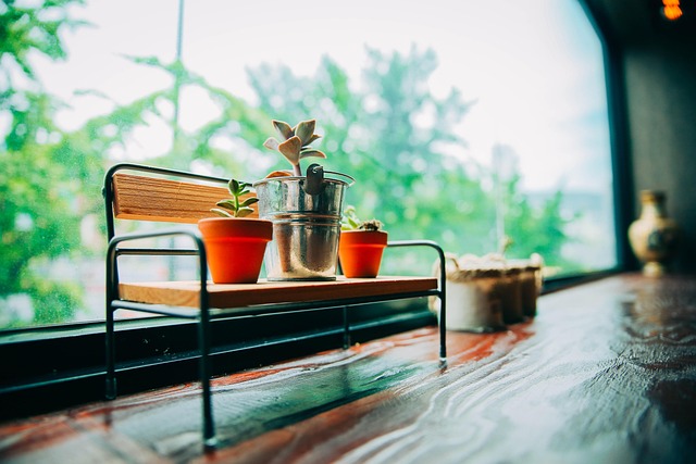 🏥 암요양병원 어떤 기준으로 고를까요? (서울 암요양병원 기준 안내)