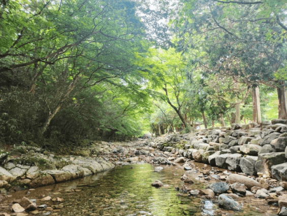 대흥사계곡