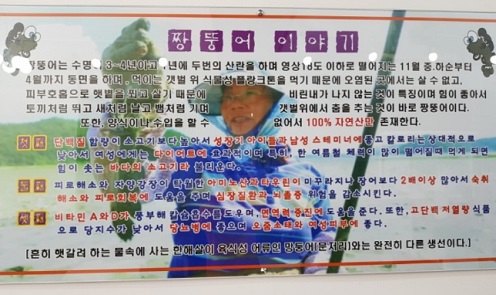 짱뚱어이야기
