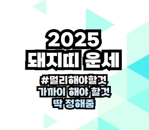 2025년 돼지띠운세