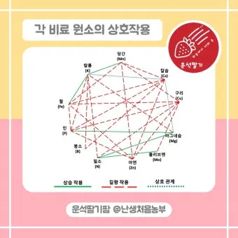 양액 재배 기초 배양액 비율 전기전도도 산도 관리_26