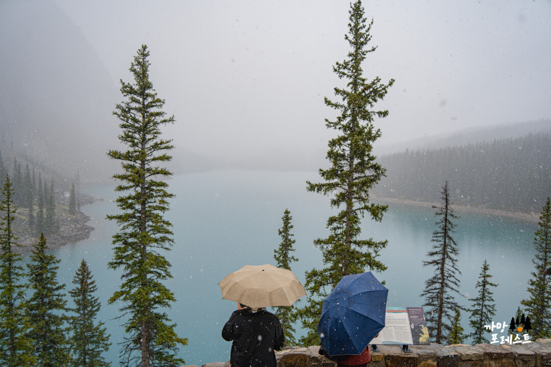 캐나다 모레인 호수