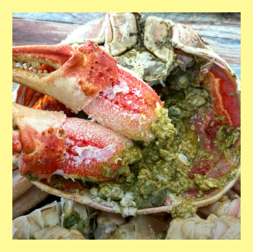 영덕 맛집 베스트10