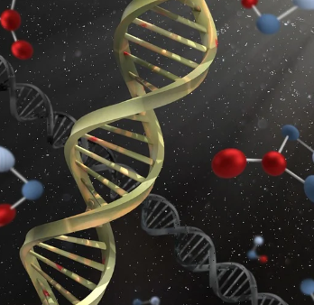 혈뇨가 나오는 이유 38