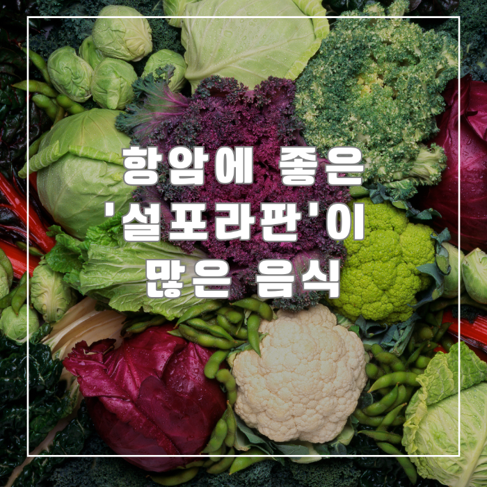 설포라판이 많은 음식