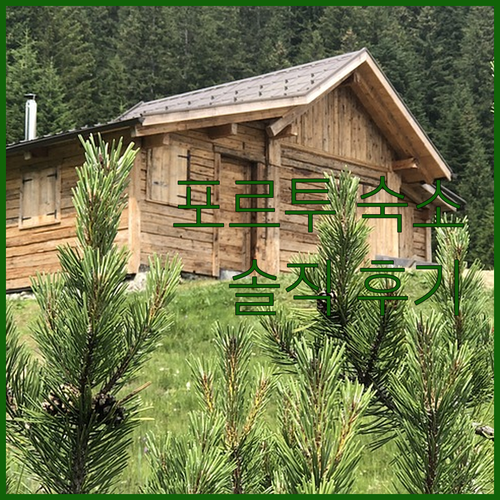 포르투 호텔 추천! 페스타나 빈티지 