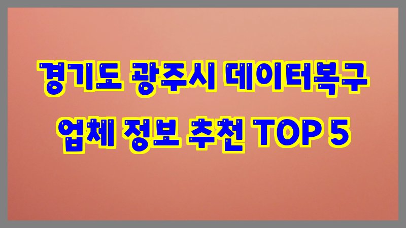 경기도 광주시 데이터복구