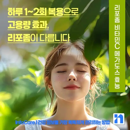 리포좀 비타민C 메가도스 효능