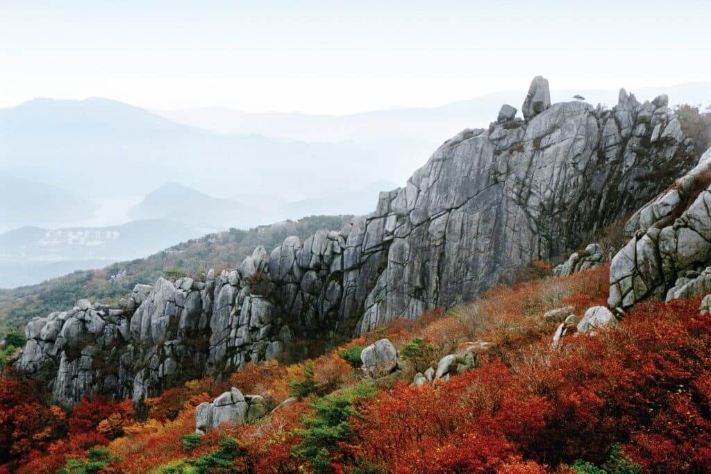 금정산 (범어사 주변) 