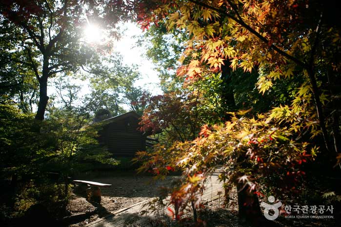 국립수목원관련 사진(출처:대한민국 구석구석)