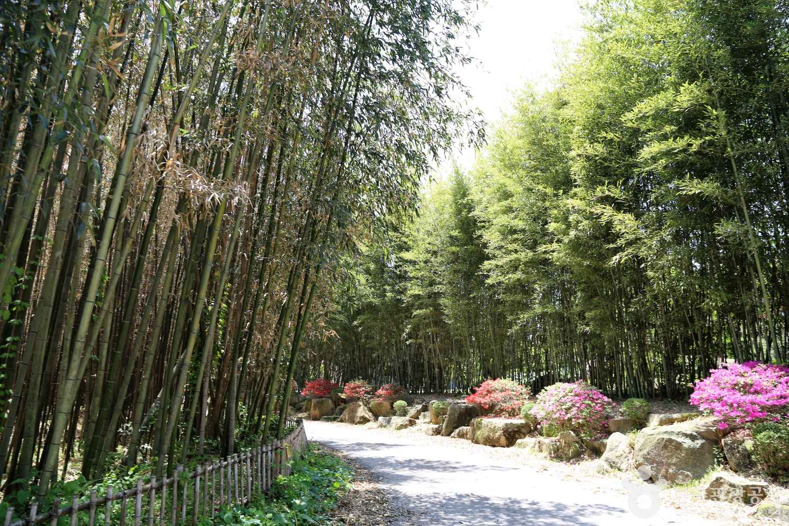익산 미륵산성