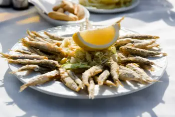 멸치 효능 및 영양성분&amp;#44; 멸치 가격