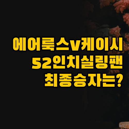 에어룩스 vs 케이시조명, 52인치 ..