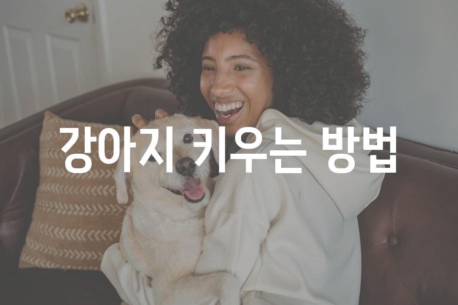 Dog care 3