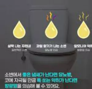 소변냄새-사진