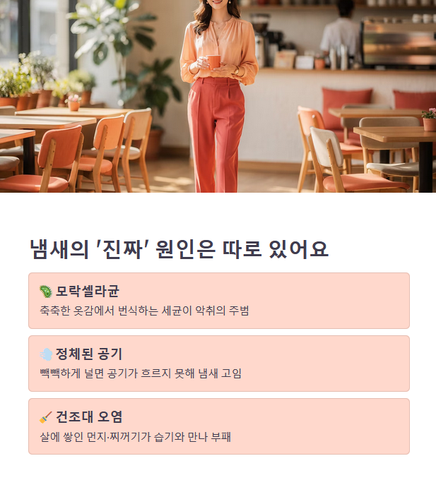 빨래건조대 냄새의 '진짜' 원인과 불편함
