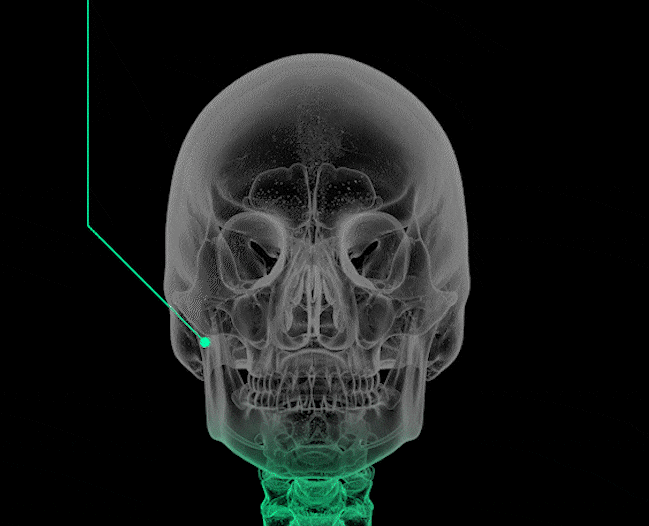 리더뮨 노즈픽션